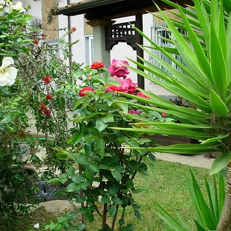 Giada Hotel 3*
